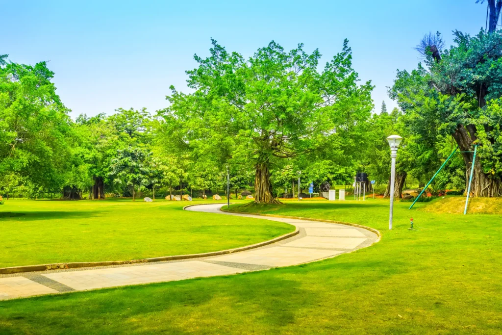 Park