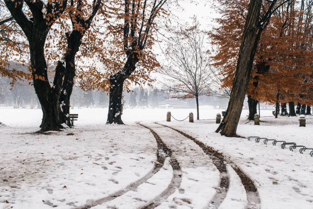 Zima w parku